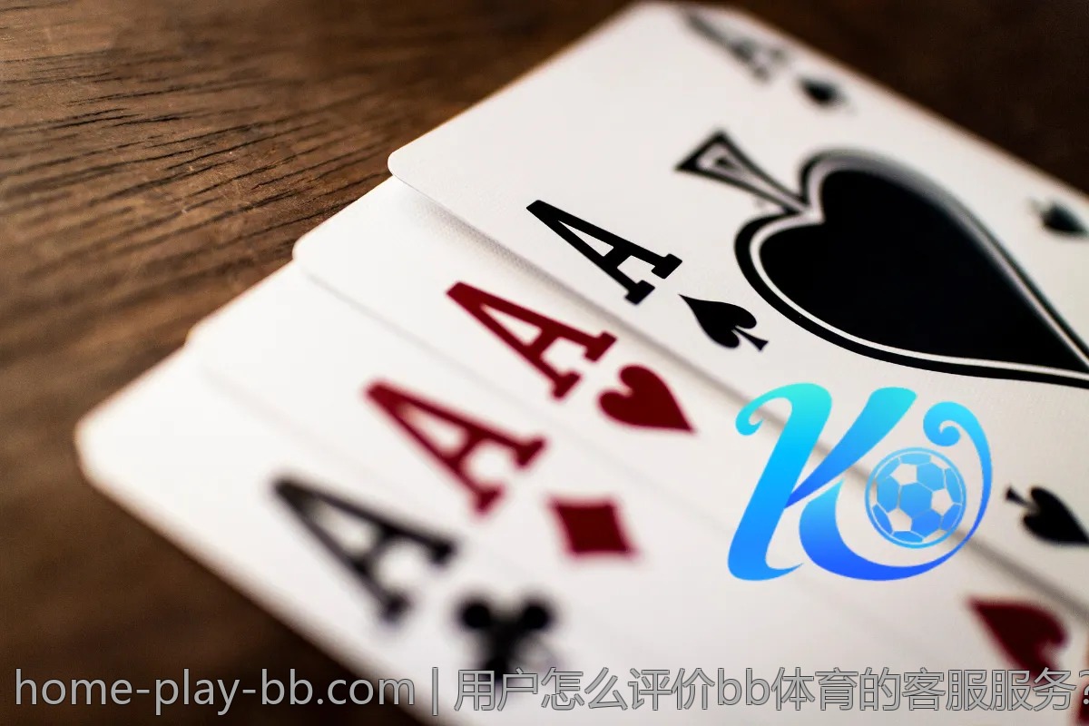 用户怎么评价bb体育的客服服务？