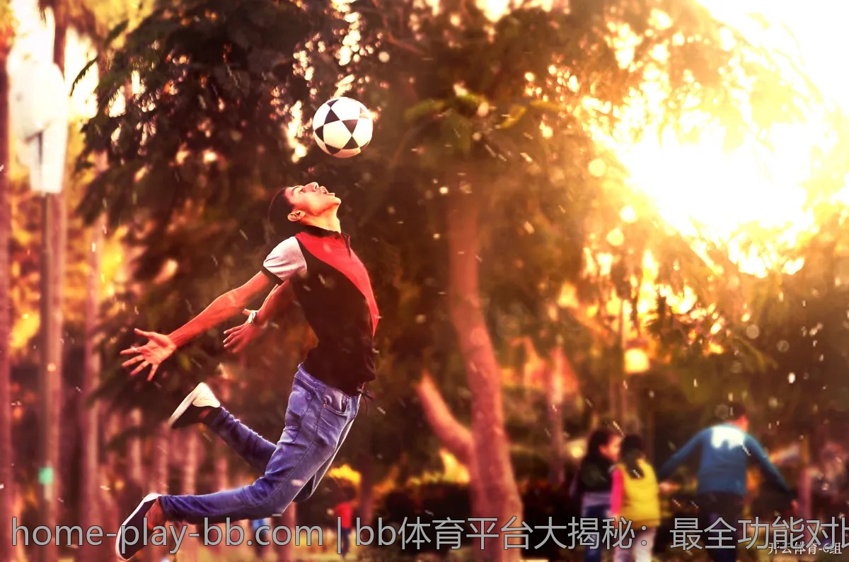 bb体育平台大揭秘:最全功能对比及使用心得